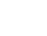 Lunar Network Logo